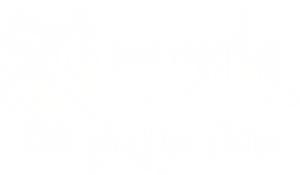 Dracula und der Zirkel der Sieben