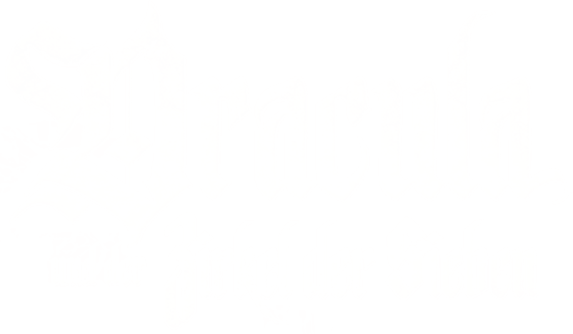 Dracula und der Zirkel der Sieben