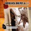 Sherlock Holmes & Co - Das Spinnennetz